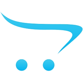 Vidya Bharti Chinmaya Vidyalaya Boys Regular Shirt